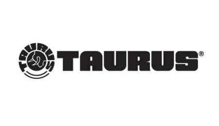 TAURUS GX4 9MM GRAY GRAPHENE 13+1   #